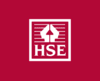 hse e1586185200596 2